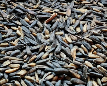 Sonnenblumenkerne   schwarz - micro xs 2000 gr.