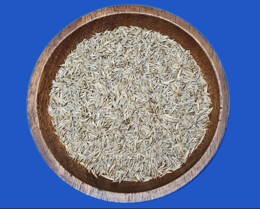 Schafschwingel  Grassamen-Nature  1000 gr.