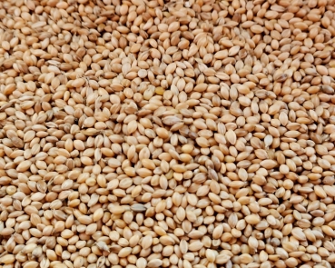 Senegalhirse Naturbelassen 1000 gr.