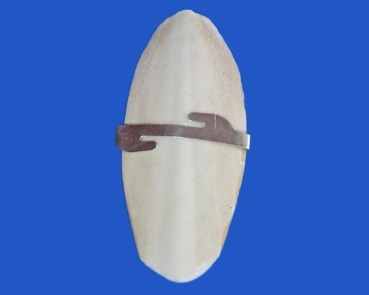 Sepia - Schalen  Metall - Halterung   10 - 12 cm