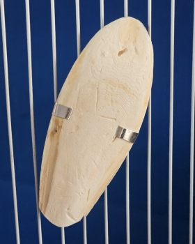 Sepia - Schalen  Metall - Halterung   10 - 12 cm