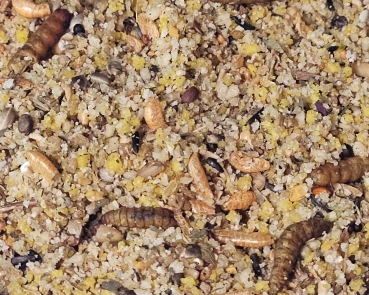Sittich - Animales  Ei & Aufzuchtfutter   5000 gr.