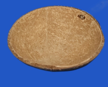 Natursitzstange mit Cocos - Napf  Länge 25 cm