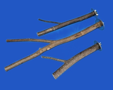 Sitz - Zweig    Naturholz - mini S    20 cm