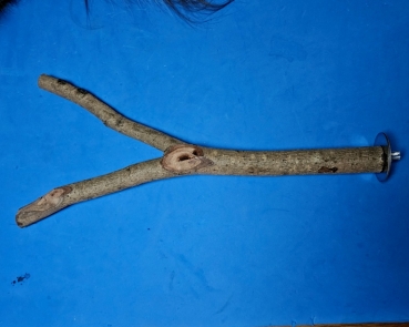 Sitz - Zweig     Naturholz - groß XL  30 cm