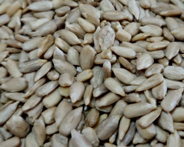 Sonnenblumenkerne geschälte Kerne  4000 gr.
