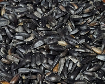 Sonnenblumenkerne schwarz - mini s  2000 gr.