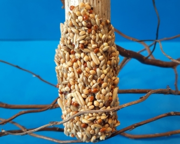Millet sunflower stalks