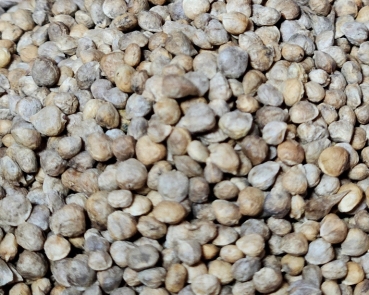 Spinatsamen  Naturbelassen  1000 gr.