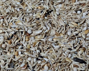Zeisig Südamerika  Italien - Premium 4000 gr.