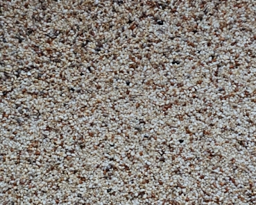 Teff - Hirse      Zwerghirse - Bio  2000 gr.