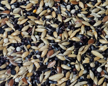 Kanarienfutter  Timbrado spanisch 10.000 gr.