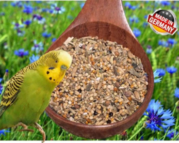 Wellensittich  Aroma  - Traum  10.000 gr.