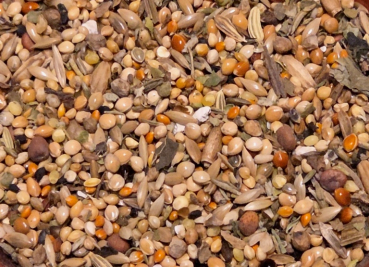 Preview: Wellensittich  Aroma -  Traum  2000 gr.