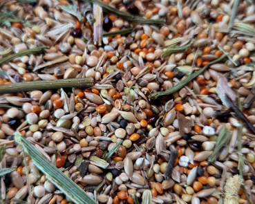 Preview: Wellensittich  Knabber Garten 1000 gr.