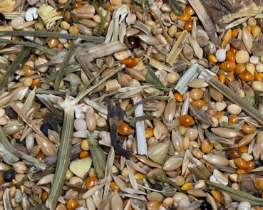 Preview: Wellensittich Knabber Garten  2000 gr.