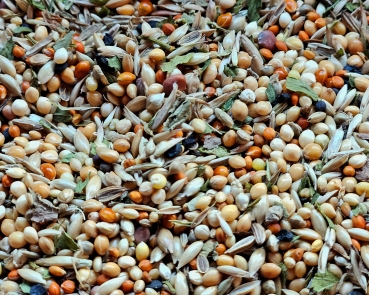 Wellensittich Wildsamen Kräuter 1000 gr.