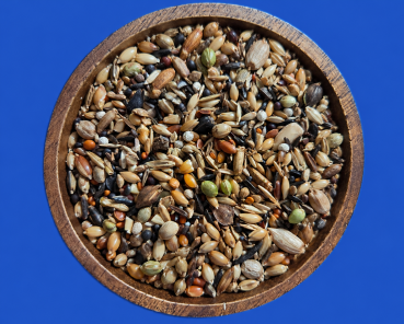 Waldvogel - Zucht Super - Premium 10.000 gr.