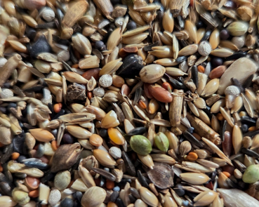 Preview: Waldvogel - Zucht   Super - Premium  4000 gr.