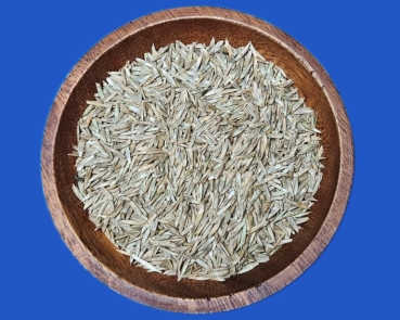 Raygras - Samen Wildgras - Nature  1000 gr.