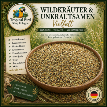 Wildkräuter & Unkrautsamen Vielfalt  4000 gr.