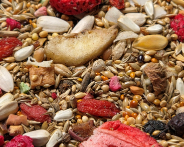 Preview: Ziegensittich Früchte - Beeren   1000 gr.