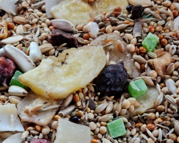 Ziegensittich Früchte - Beeren   1000 gr.