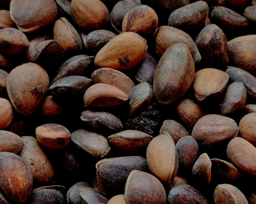 Zirbelnüsse Classic - Nature 300 gr.