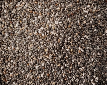 Chiasamen / span. Salbeisamen grau 4000 gr.