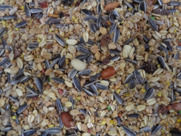 Animal Sommermix   grob  1000 gr.  auch für grössere Vogelarten