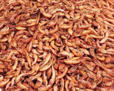 Gammarus  getrocknet     Tüte     1000 gr.
