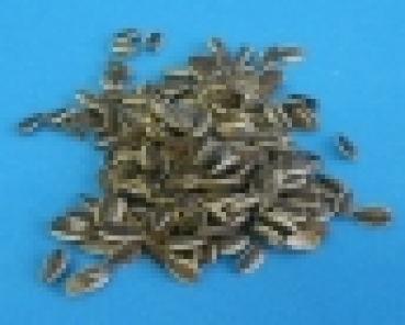 Gestreifte  Sonnenblumenkerne  Wildvogel    5000 gr.