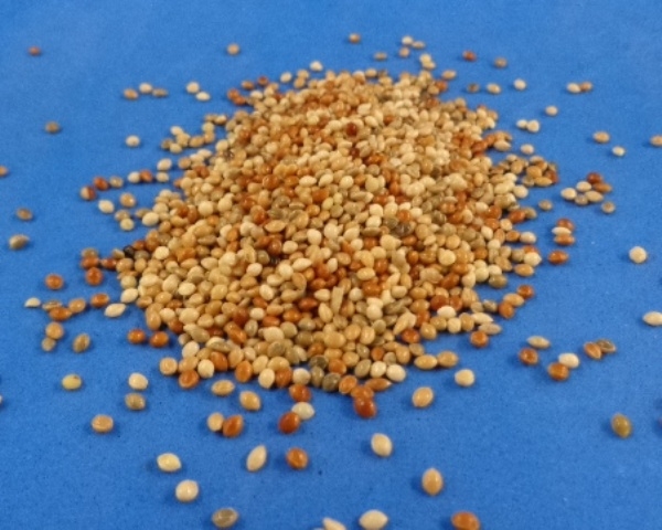 Hirse - Mix Classic Spezial   4000 gr.