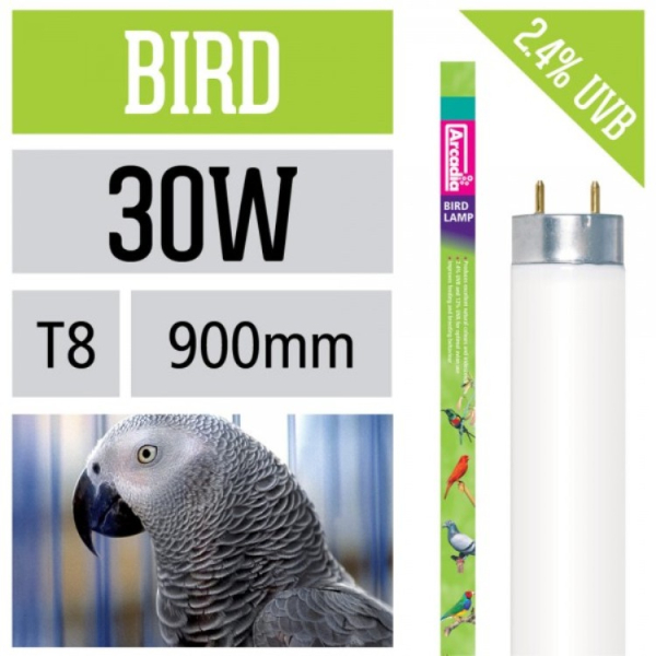 Arcadia Bird Lamp 30 Watt - 900 mm