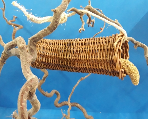 Weiden - Hirsetunnel     NEU !!!!