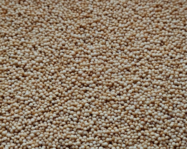 Amaranth - Bio  hochkeimfähig 1000 gr.