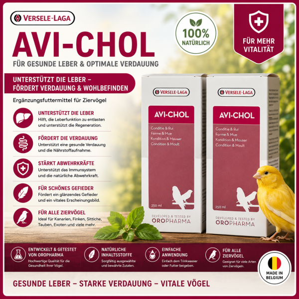 Avi - Chol   Kondition-Mauser 250 ml