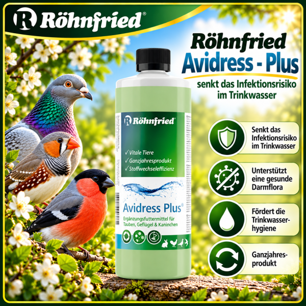 Avidress Plus  1000 ml