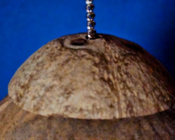 - Kopie