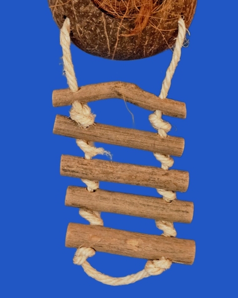 Cocos - Nuss Spaß mit Natureiter Länge ca. 56 cm