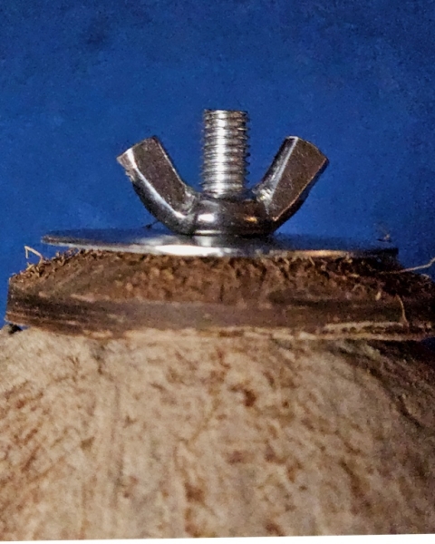 Cocosnuss - Haus  zum Anschrauben Maße dm  9,5 cm