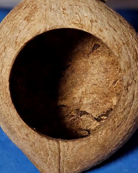 Cocosnuss - Haus  zum Anschrauben Maße dm  9,5 cm