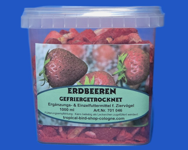 Erdbeeren gefriergetrocknet   1000 ml.