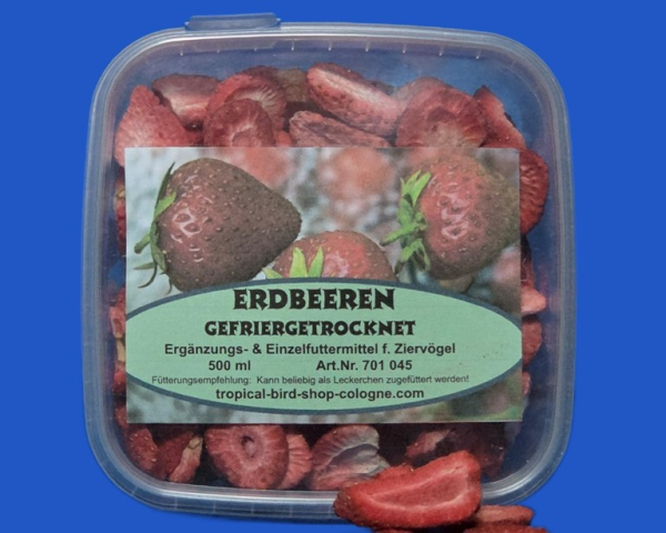 Erdbeeren gefriergetrocknet    500 ml