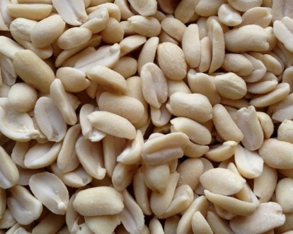 Erdnüsse blanchiert/halbiert   4000 gr.