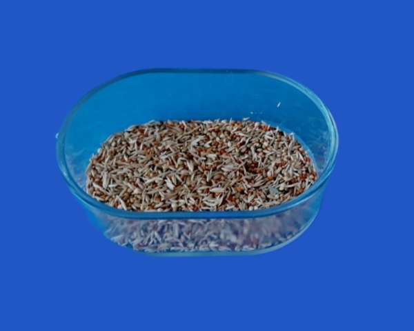 Kunststoffnapf  oval - transparent  12 x 7.5 x 3,5 cm