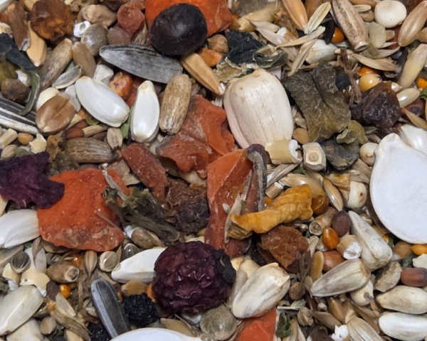 Großsittich  Geschmacksvielfalt  1000 gr.