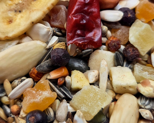 Graupapageien  African  Tropica 1000 gr.