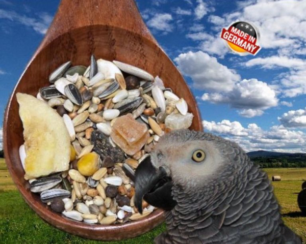 Graupapageien  African  Tropica 1000 gr.