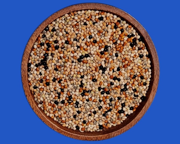 Hirse - Mix Power  Classic - Spezial   4000 gr.